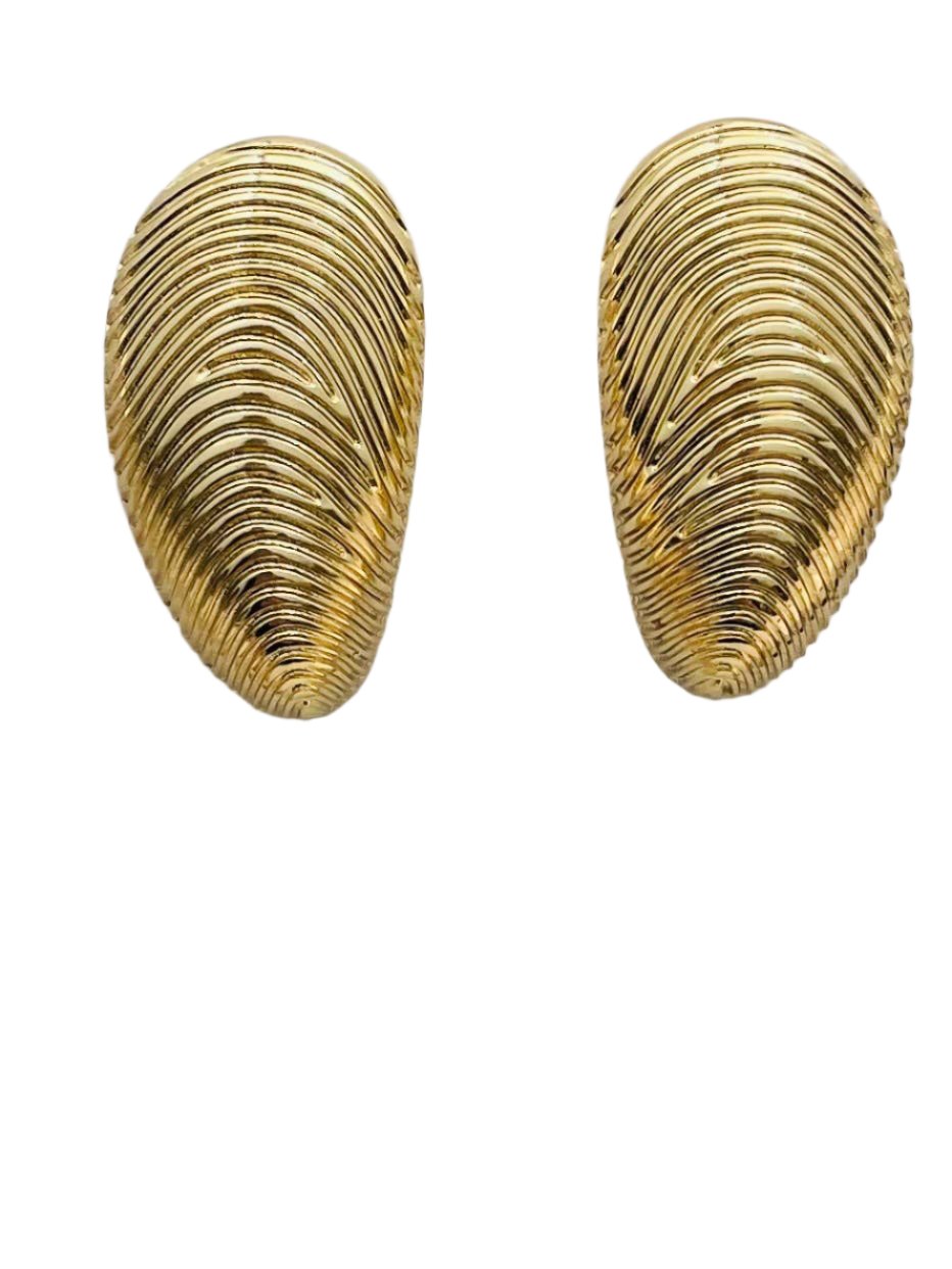 Elongated Shell Gold Earring